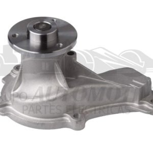 B60565 BOMBA DE AGUA