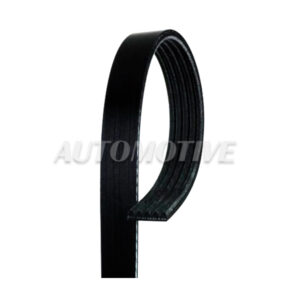 B75254 BANDA GATES MICRO V FORD