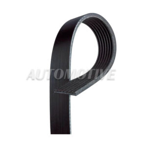 B69077 BANDA GATES MICRO V ACURA