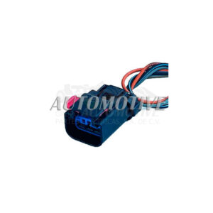 A31018 ARNES