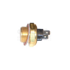 B59485  BULBO