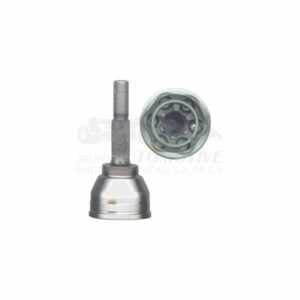 C08200 J. HOMOCINETICA