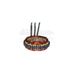 E55509 ESTATOR
