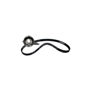 K01173 DISTRIBUCION