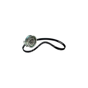 K02965 DISTRIBUCION