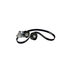 K03356 DISTRIBUCION