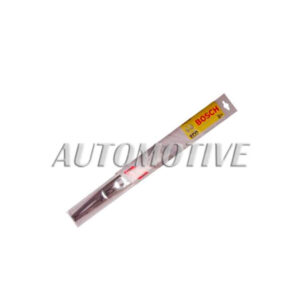 P27647 PLUMA