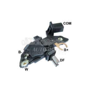 R52891 REGULADOR