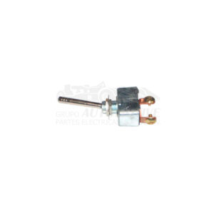S17163 INTERRUPTOR