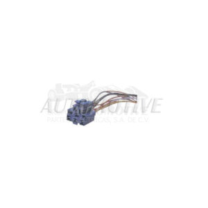 S31244 SOQUET