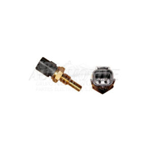 S51728  BULBO