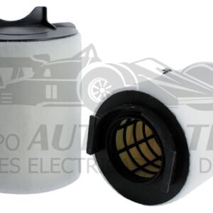 G06293 FILTRO DE AIRE