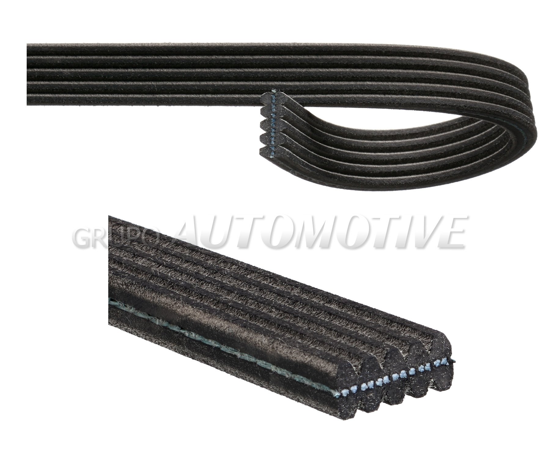 BD6100 BANDA GATES - Imagen 2