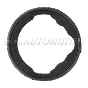 J36153 JUNTA TERMOSTATO